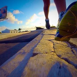 Treino de hoje – 17,5 km